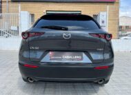 MAZDA CX30 EVOLUTION