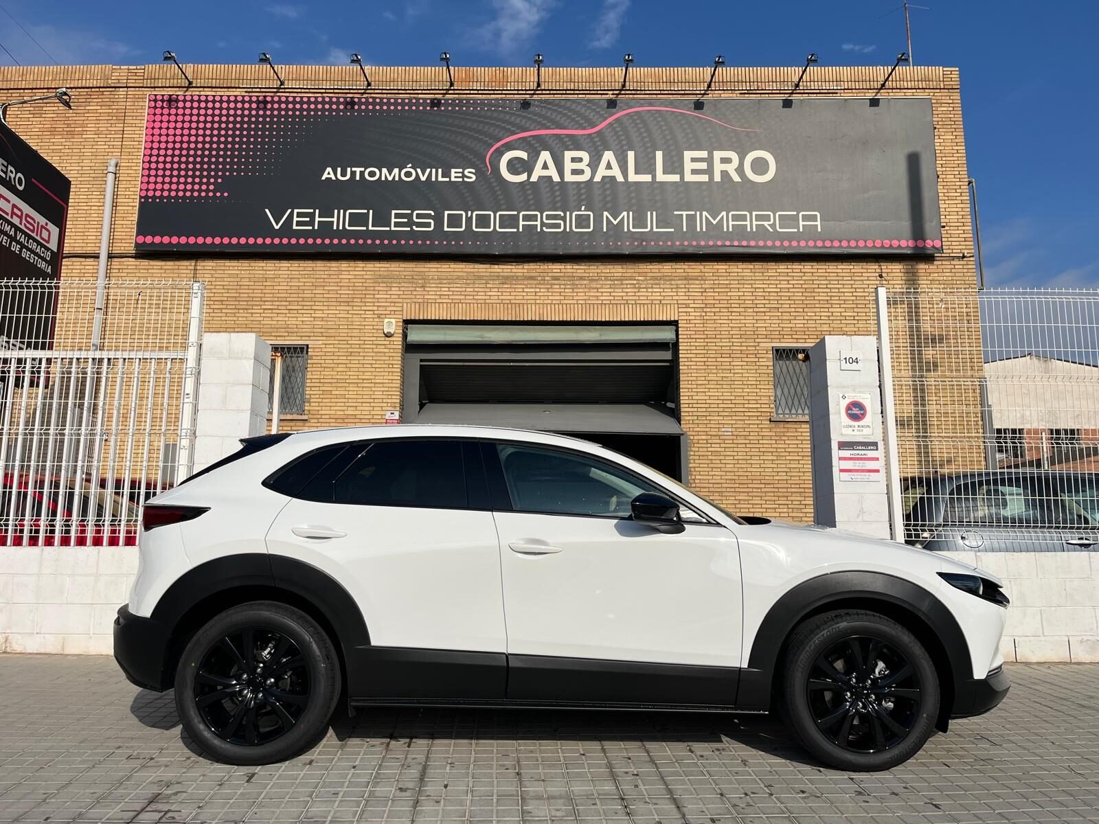 MAZDA CX30 HOMURA AT